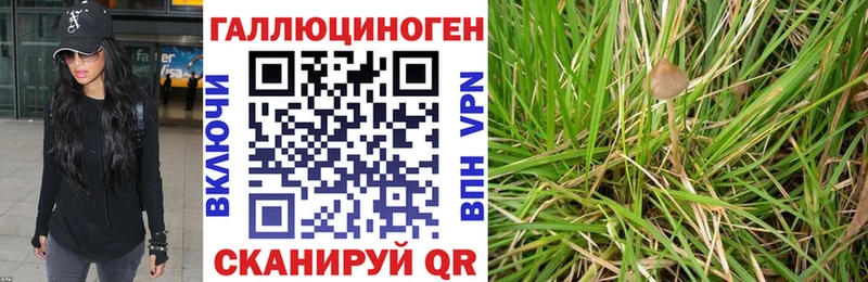 Галлюциногенные грибы GOLDEN TEACHER  гидра сайт  Кочубеевское 