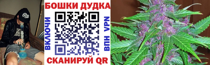 сколько стоит  Кочубеевское  Канабис сатива 