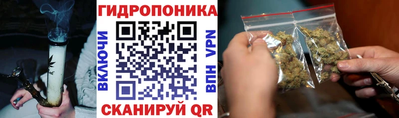 Каннабис Ganja Кочубеевское